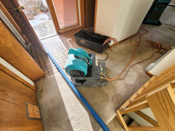 Best Commercial Water Damage Restoration in Blountsville, AL